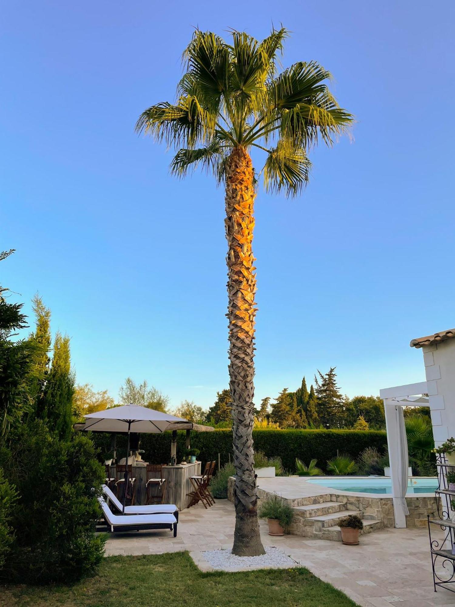 Bed and breakfast Aigues Marines Extérieur photo